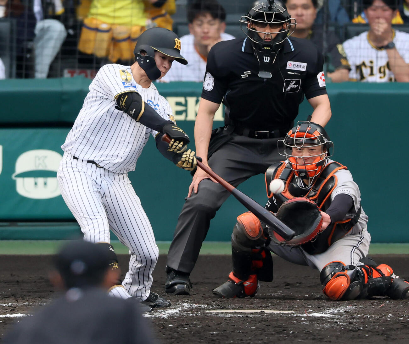 阪神対巨人　7回裏阪神1死満塁、代打中野拓夢は左前2点適時打を放つ（撮影・加藤哉）