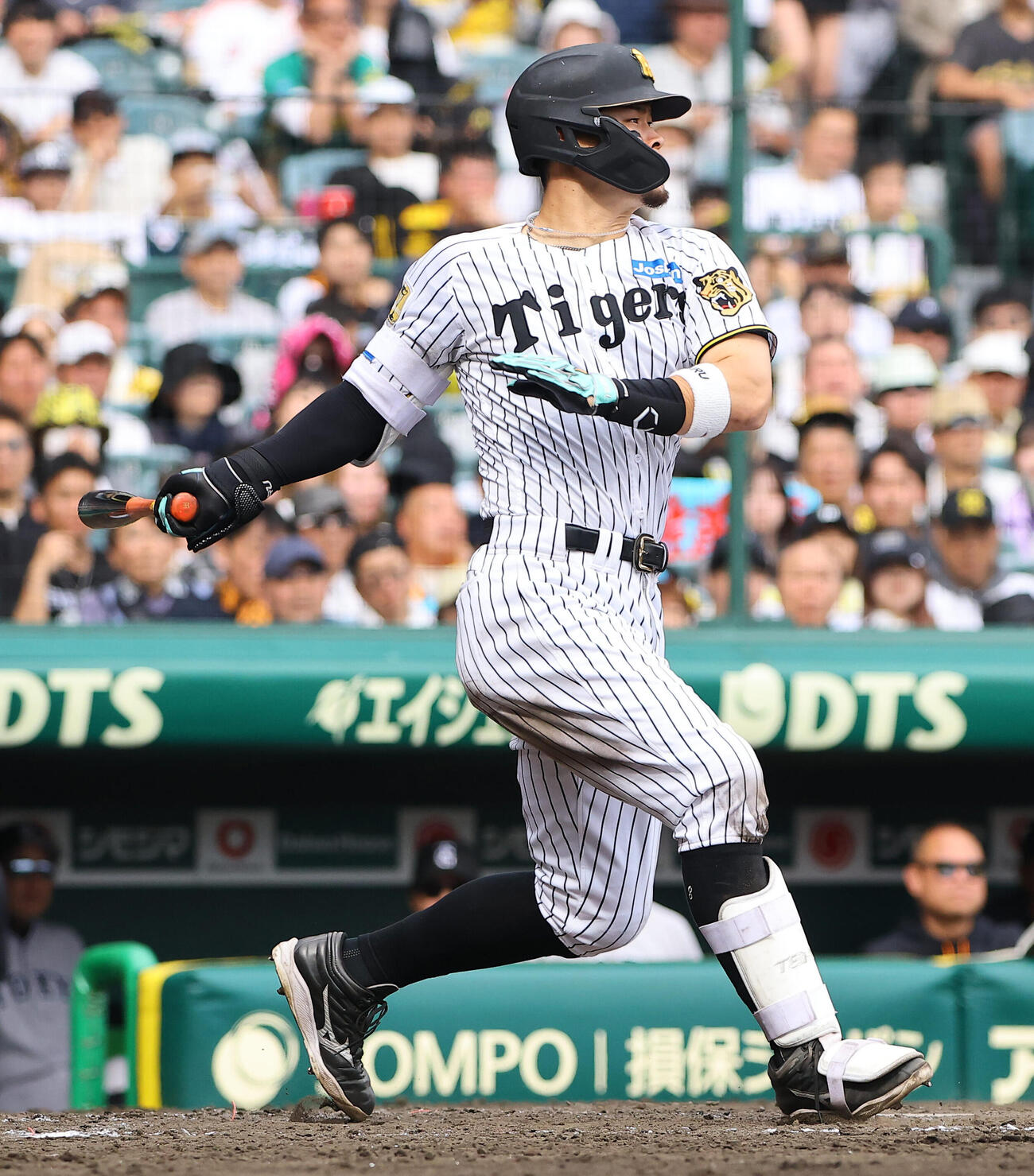 阪神対巨人　5回裏阪神無死、佐藤輝明は安打を放つ（撮影・上田博志）