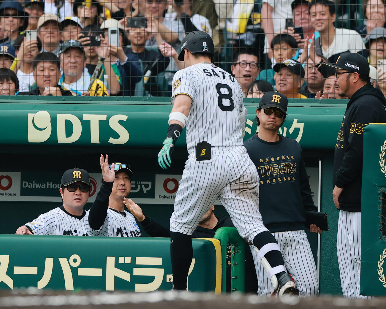 阪神対巨人　8回裏阪神無死、ソロ本塁打を放った佐藤輝明（手前）を出迎える藤川球児監督（左から2人目）（撮影・上山淳一）