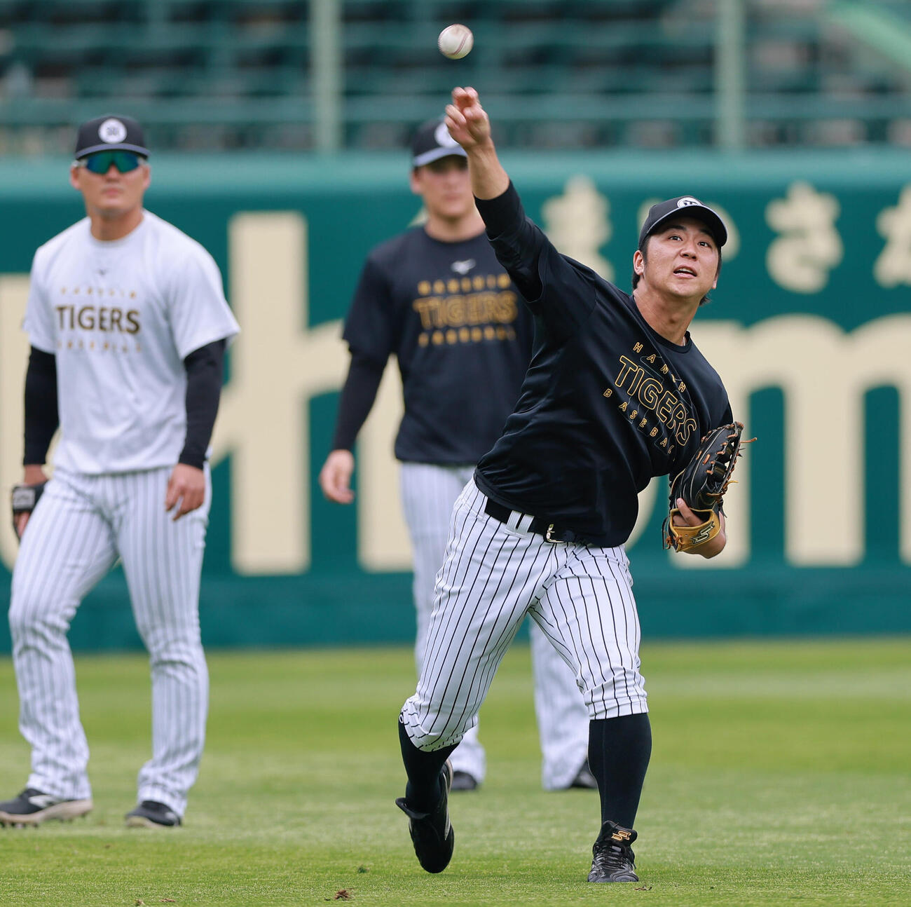 阪神対巨人試合前の練習でノックを受ける阪神井坪陽生（手前）（撮影・上山淳一）