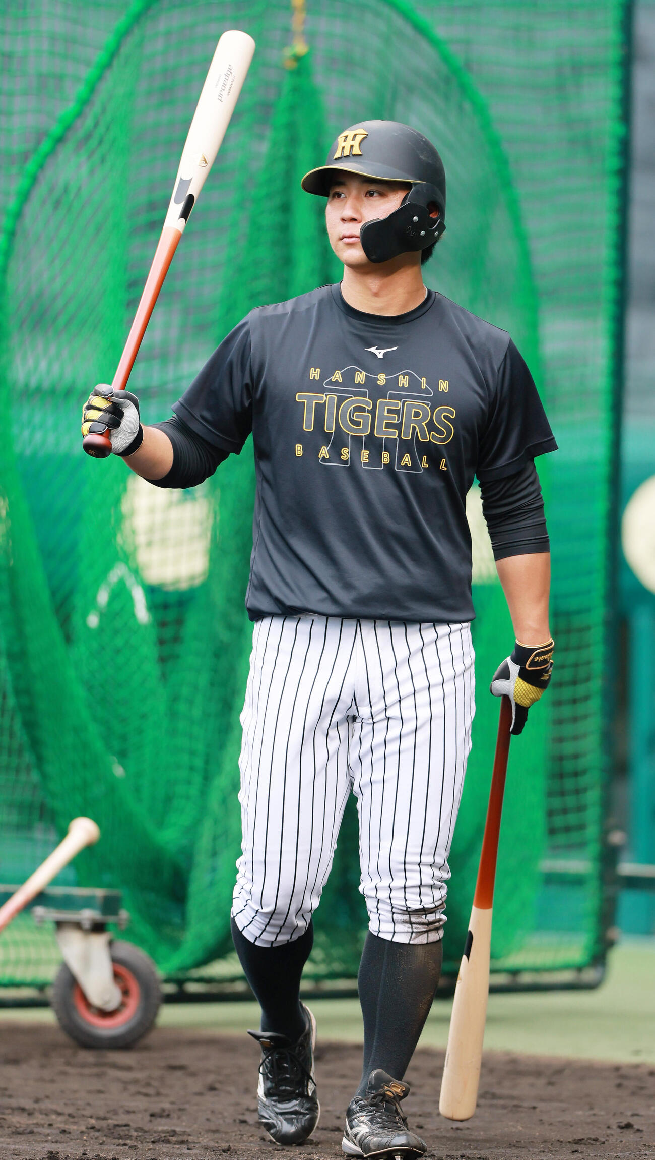 阪神対巨人　試合前、打撃練習する阪神井坪陽生（撮影・上山淳一）
