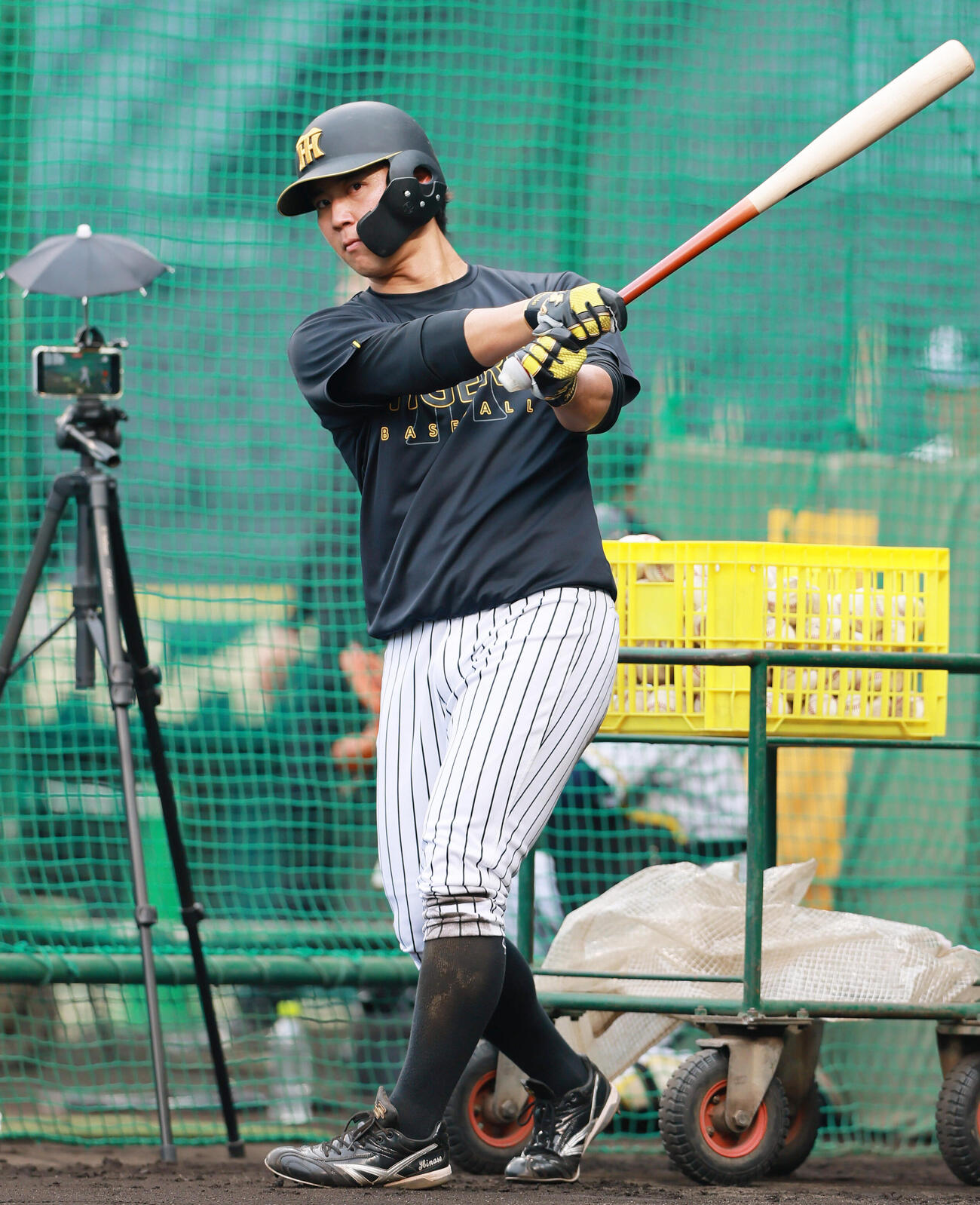 阪神対巨人　試合前の練習で素振りする阪神井坪陽生（撮影・上山淳一）
