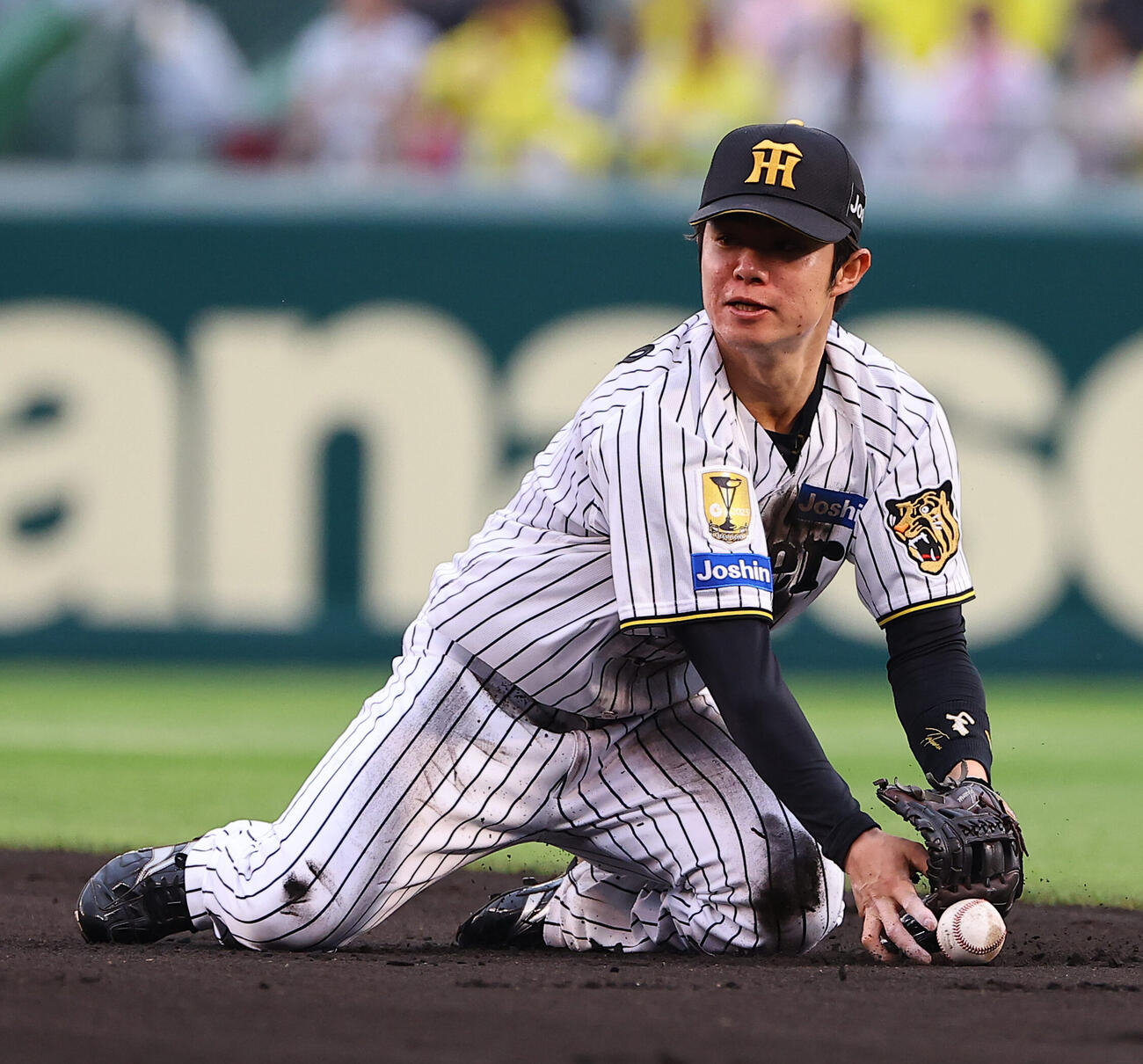 阪神対巨人　2回表巨人2死一、二塁、井上温大の打球に飛びつく中野拓夢（撮影・上田博志）