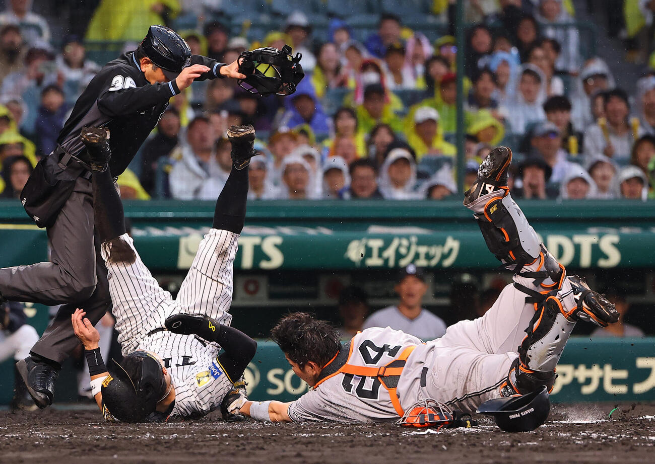 阪神対巨人　4回裏阪神1死1死三塁、佐藤輝明は大山悠輔の投ゴロで生還を狙うも憤死する。捕手は大城卓三（撮影・上田博志）