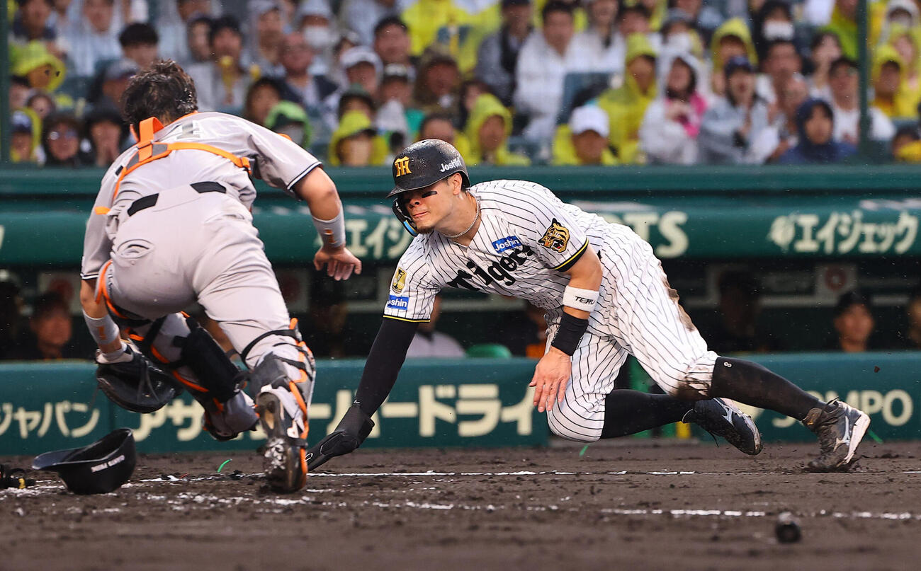 阪神対巨人　4回裏阪神1死1死三塁、佐藤輝明は大山悠輔の投ゴロで生還を狙うも憤死する（撮影・上田博志）