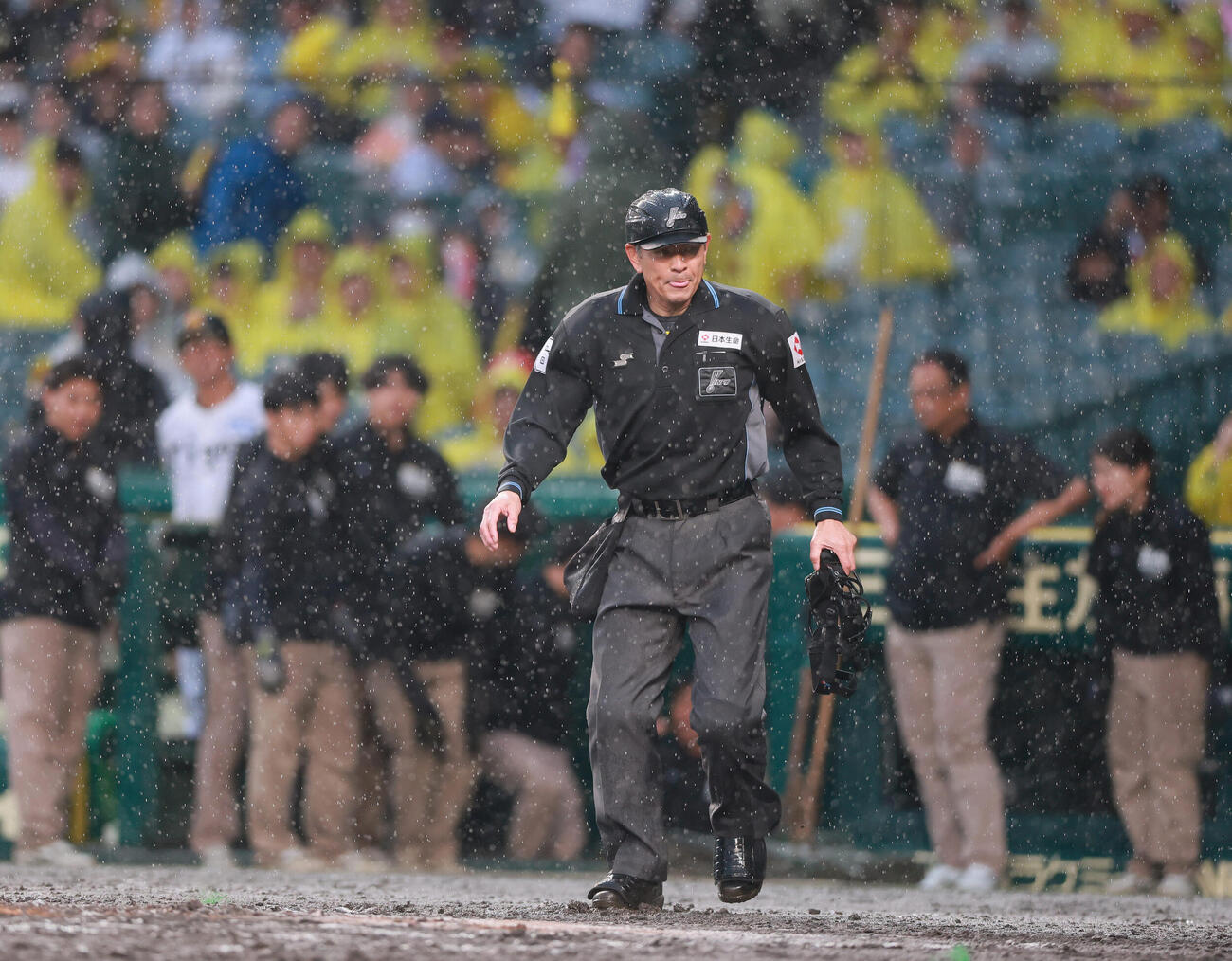 阪神対巨人　降雨コールドゲームを告げる真鍋勝已球審（撮影・上山淳一）..