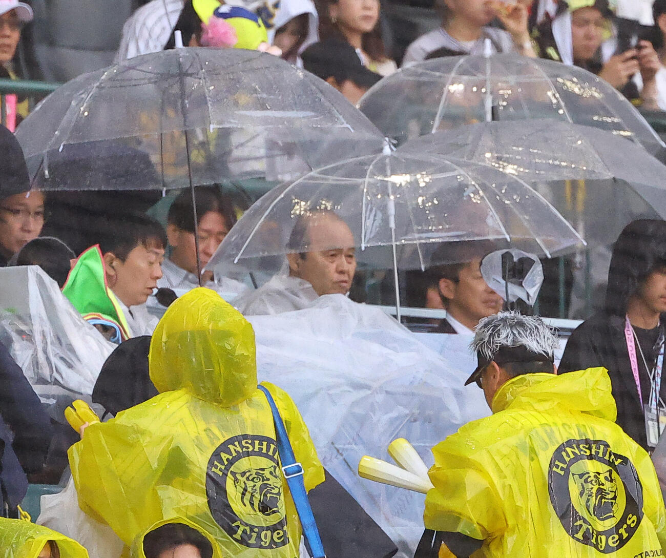 阪神対巨人　傘を差しながら解説する岡田彰布オーナー付顧問（撮影・上田博志）