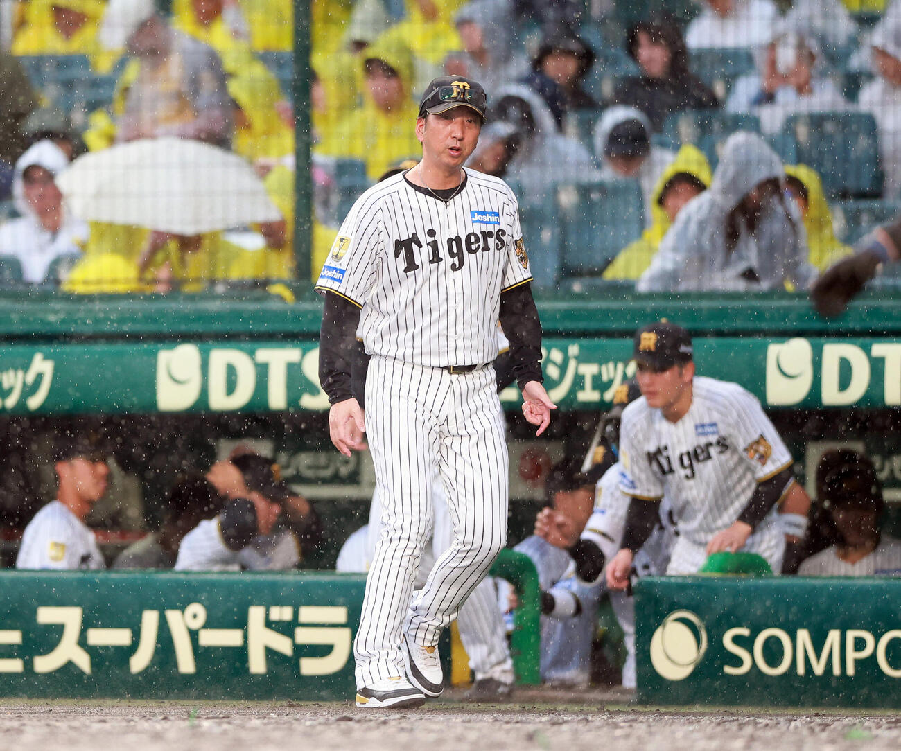 阪神対巨人　降雨コールドゲームで勝利しグラウンドに出る阪神藤川球児監督（撮影・上山淳一）