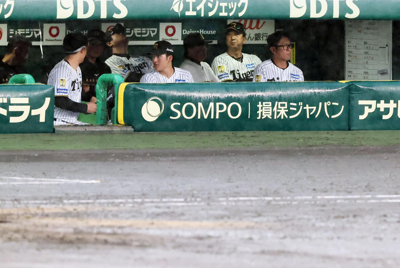 阪神対巨人　7回裏阪神2死満塁、打者佐藤輝明の場面で雨が強まり、状況を見つめる阪神藤川球児監督（右から2人目）ら（撮影・宮崎幸一）