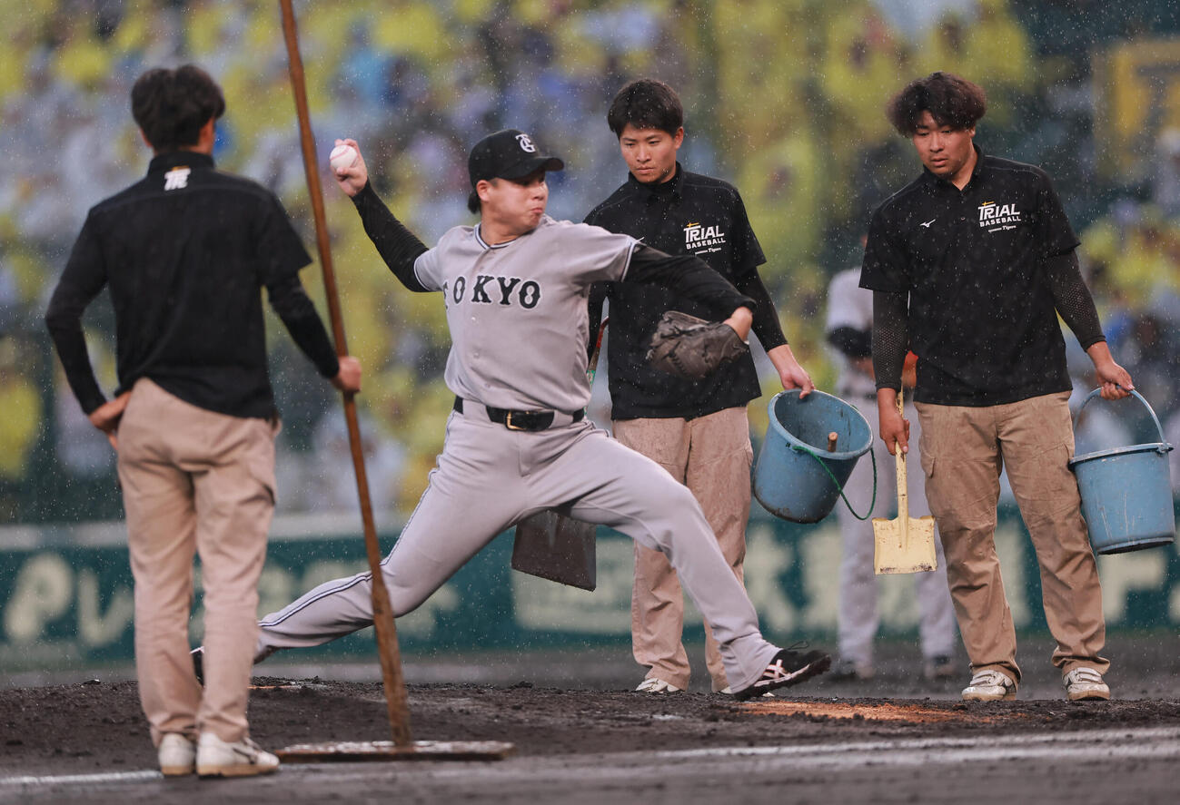 阪神対巨人　7回裏、降雨でマウンドがぬかるみグラウンドキーパーに砂をいれてもらい投球練習する巨人田和廉（撮影・上山淳一）..