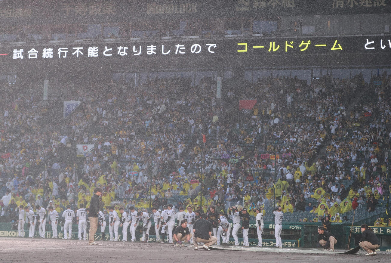 阪神対巨人　降雨コールドゲームとなりファンにあいさつする阪神ナイン（撮影・上山淳一）