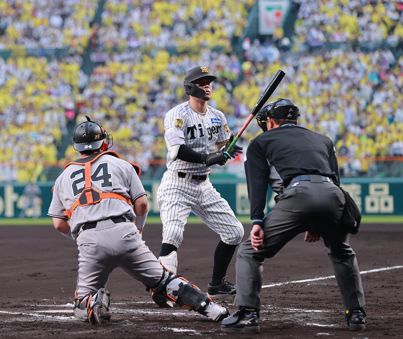 阪神対巨人　2回裏阪神無死、四球を選ぶ佐藤輝明（撮影・上山淳一）