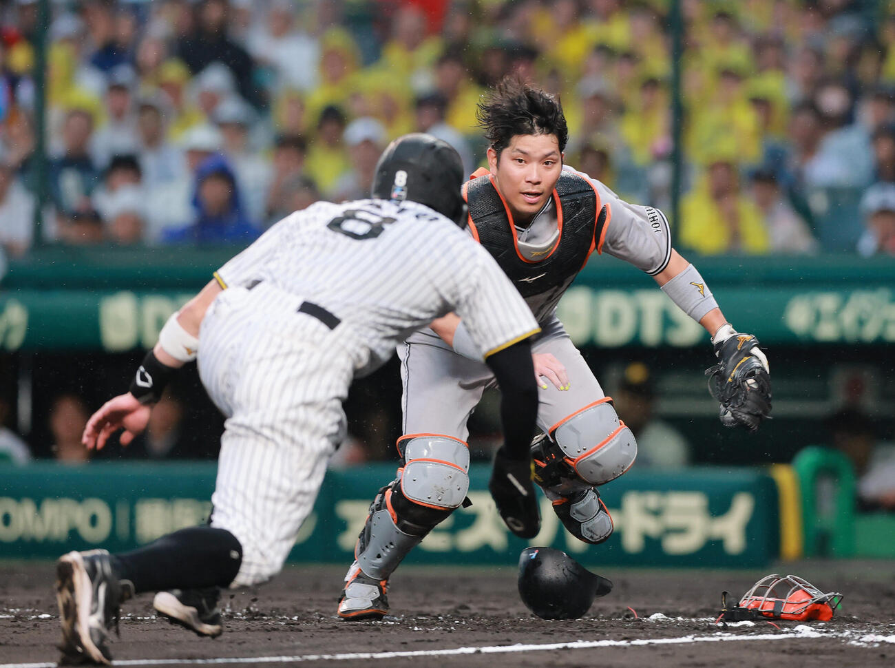 阪神対巨人　4回裏阪神1死三塁、大山悠輔の投ゴロで三走佐藤輝明（手前）をアウトにする大城卓三（撮影・上山淳一）