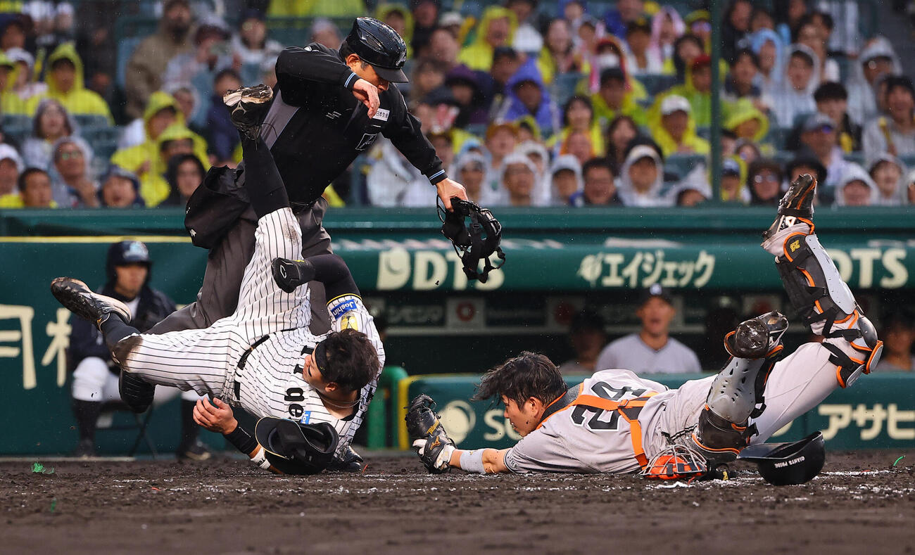 阪神対巨人　4回裏阪神1死1死三塁、佐藤輝明は大山悠輔の投ゴロで生還を狙うも憤死する。捕手は大城卓三（撮影・上田博志）