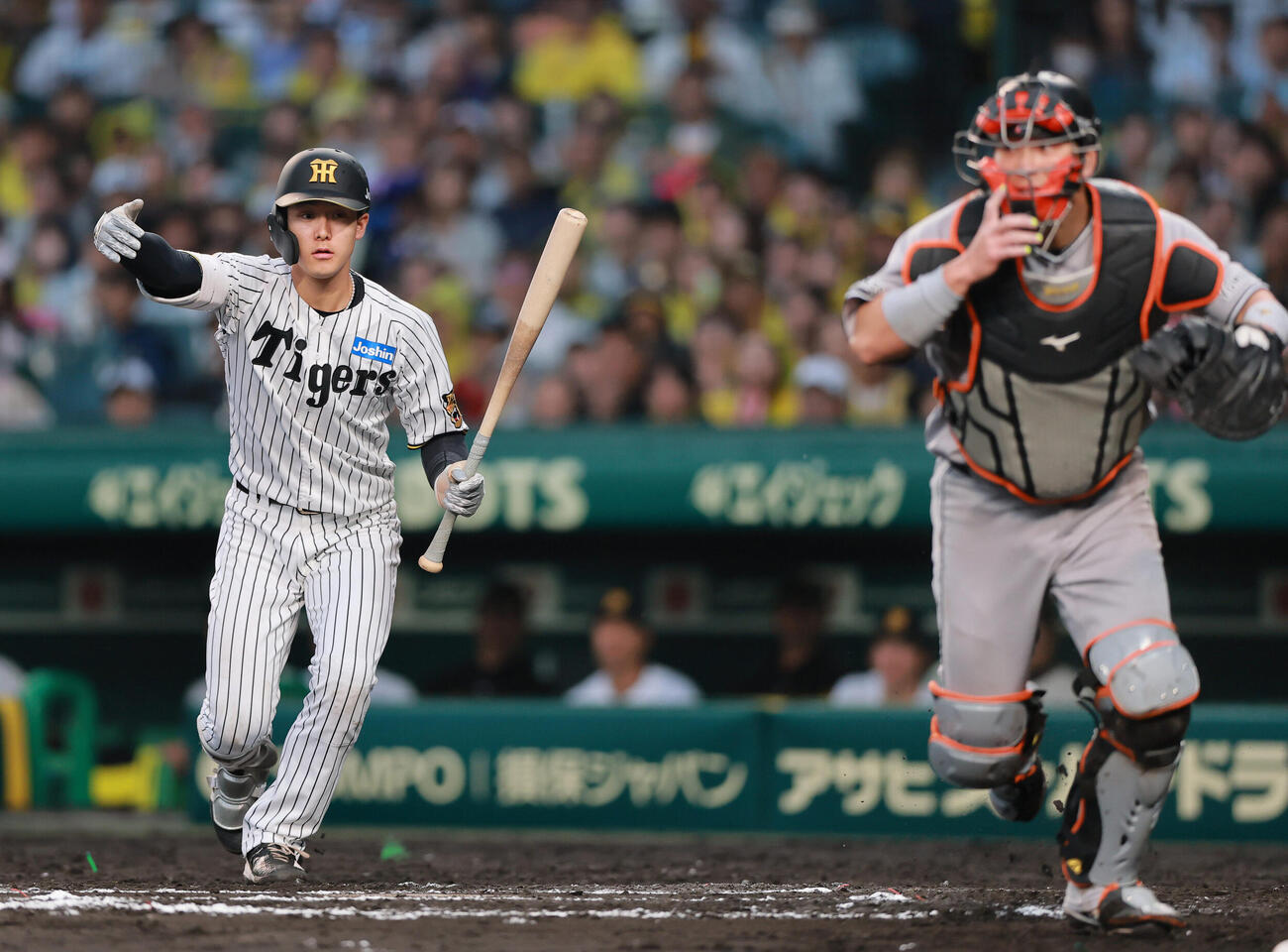 阪神対巨人　6回裏阪神1死満塁、打者小幡竜平は、暴投で捕手大城卓三（手前）が球を追いかける間に、三走中野拓夢に生還を呼びかける（撮影・上山淳一）