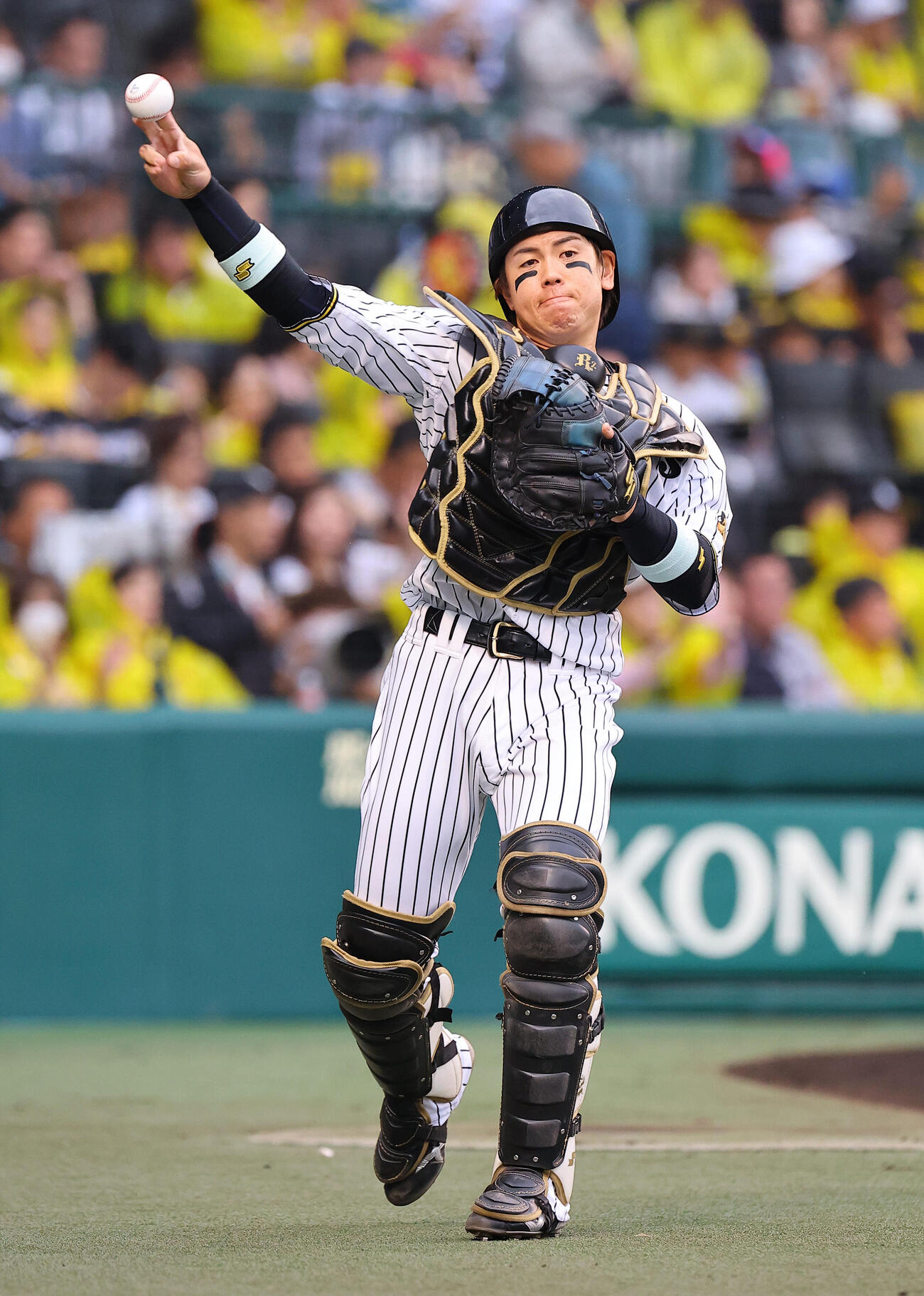 阪神対巨人　スタメンの阪神梅野隆太郎（撮影・上田博志）