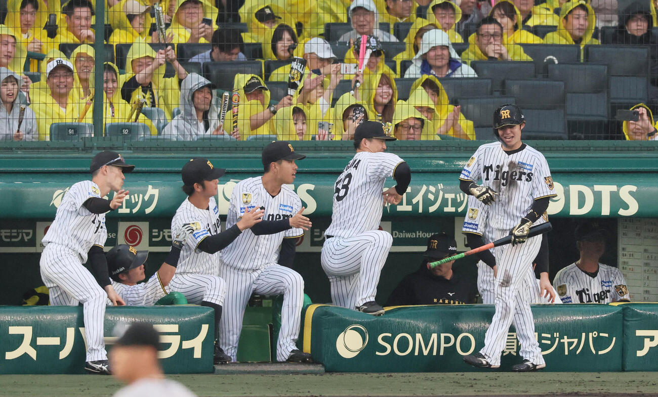 阪神対巨人　4回裏阪神1死一塁、阪神中野拓夢（右）は佐藤輝明の先制適時三塁打で生還し、ナインに迎えられる（撮影・宮崎幸一）