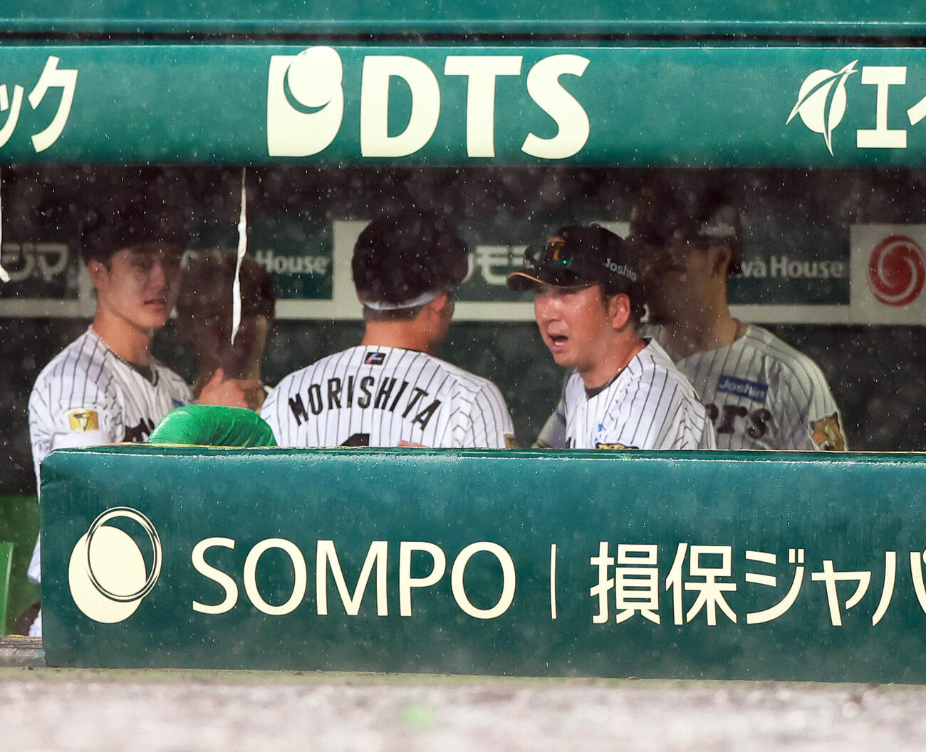 阪神対巨人　降雨コールドゲームで勝利しグラウンドに向かう阪神藤川球児監督（撮影・上山淳一）