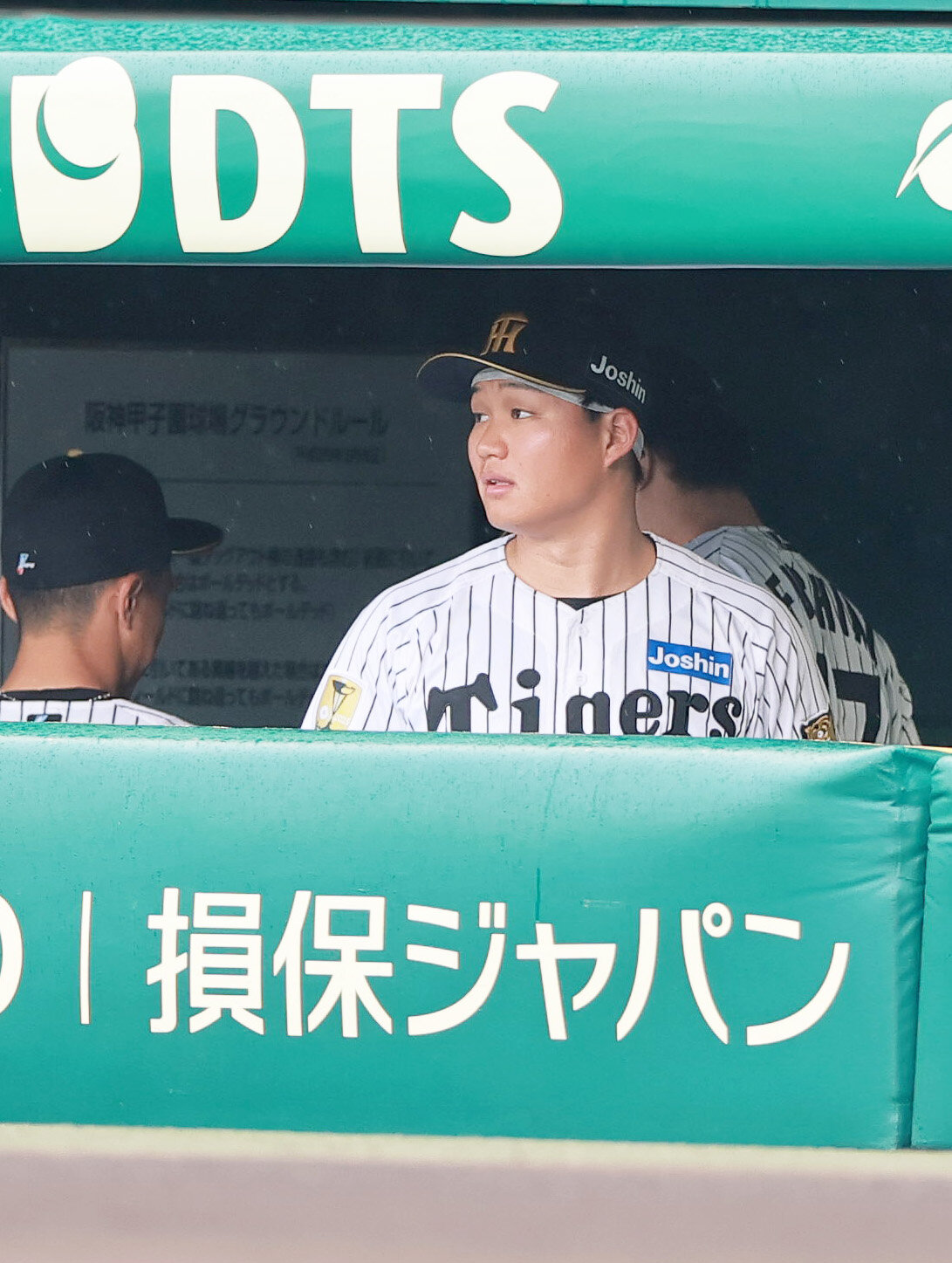 阪神対巨人　雨のグラウンドを見つめる阪神森下翔太（撮影・上山淳一）