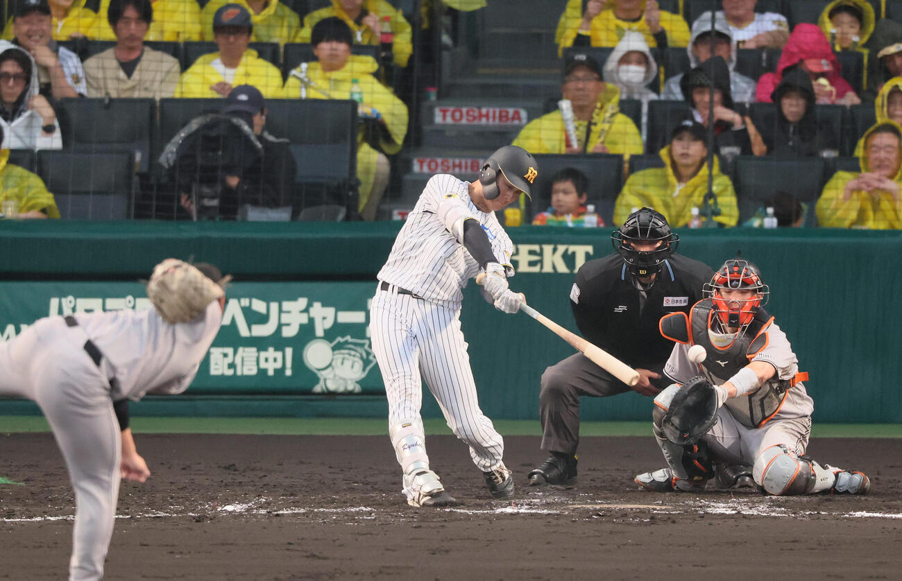 阪神対巨人　4回裏阪神2死一塁、阪神小幡竜平は左前打を放つ（撮影・宮崎幸一）