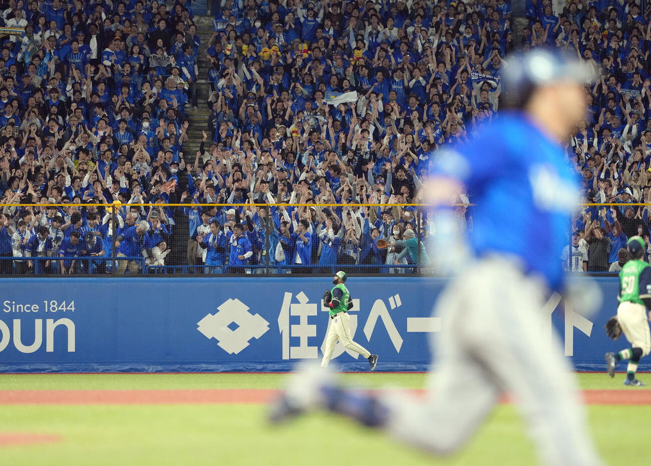 ヤクルト対DeNA 5回表DeNA2死、宮崎敏郎のソロ本塁打に盛り上がるレフトスタンド（撮影・たえ見朱実）