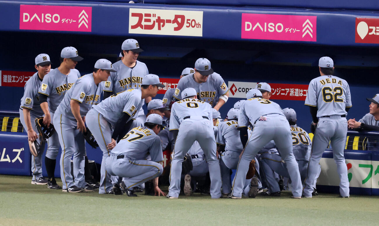 中日対阪神　試合前の円陣を組む阪神ナイン（撮影・加藤哉）