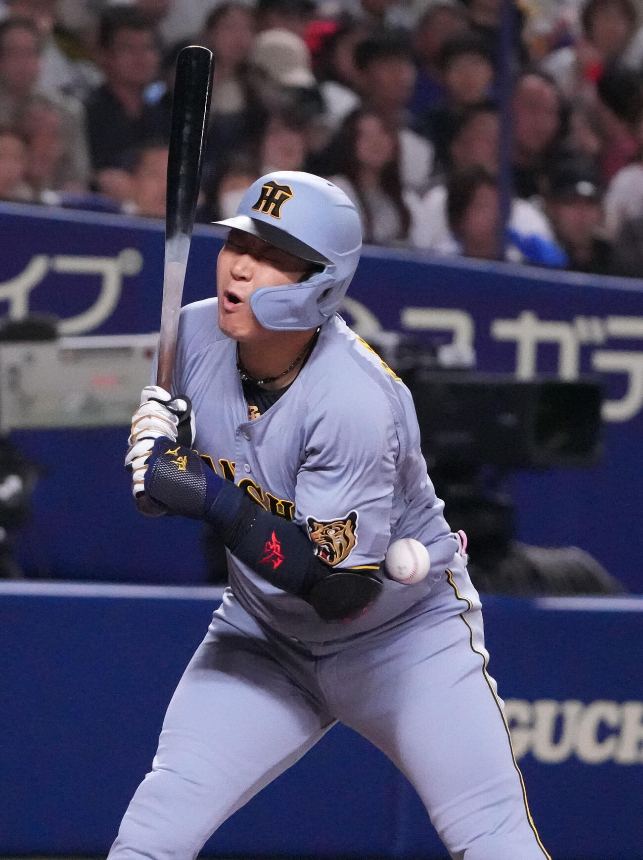 中日対阪神　1回表阪神2死一、二塁、死球を受ける大山悠輔（撮影・森本幸一）