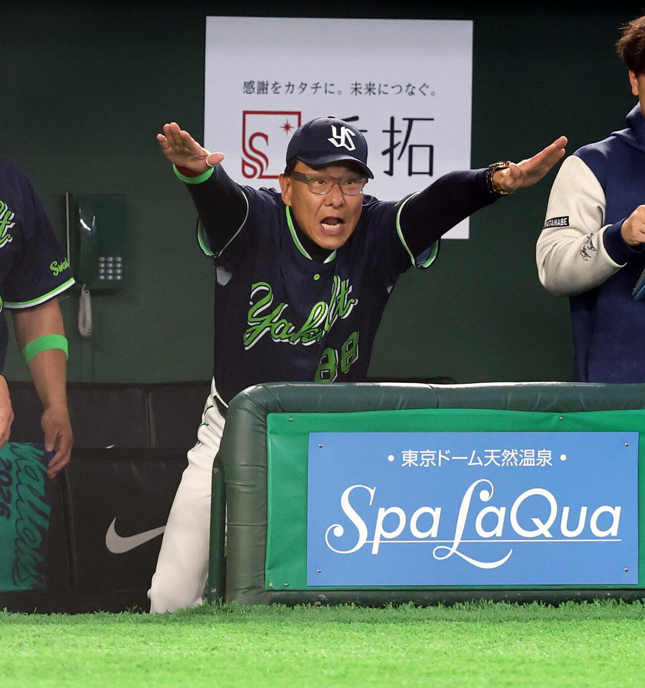 巨人対ヤクルト　5回表ヤクルrト2死二塁、内山壮真が適時打を放ち、ベンチでバンザイのようなポーズで喜ぶ池山隆寛監督（撮影・浅見桂子）