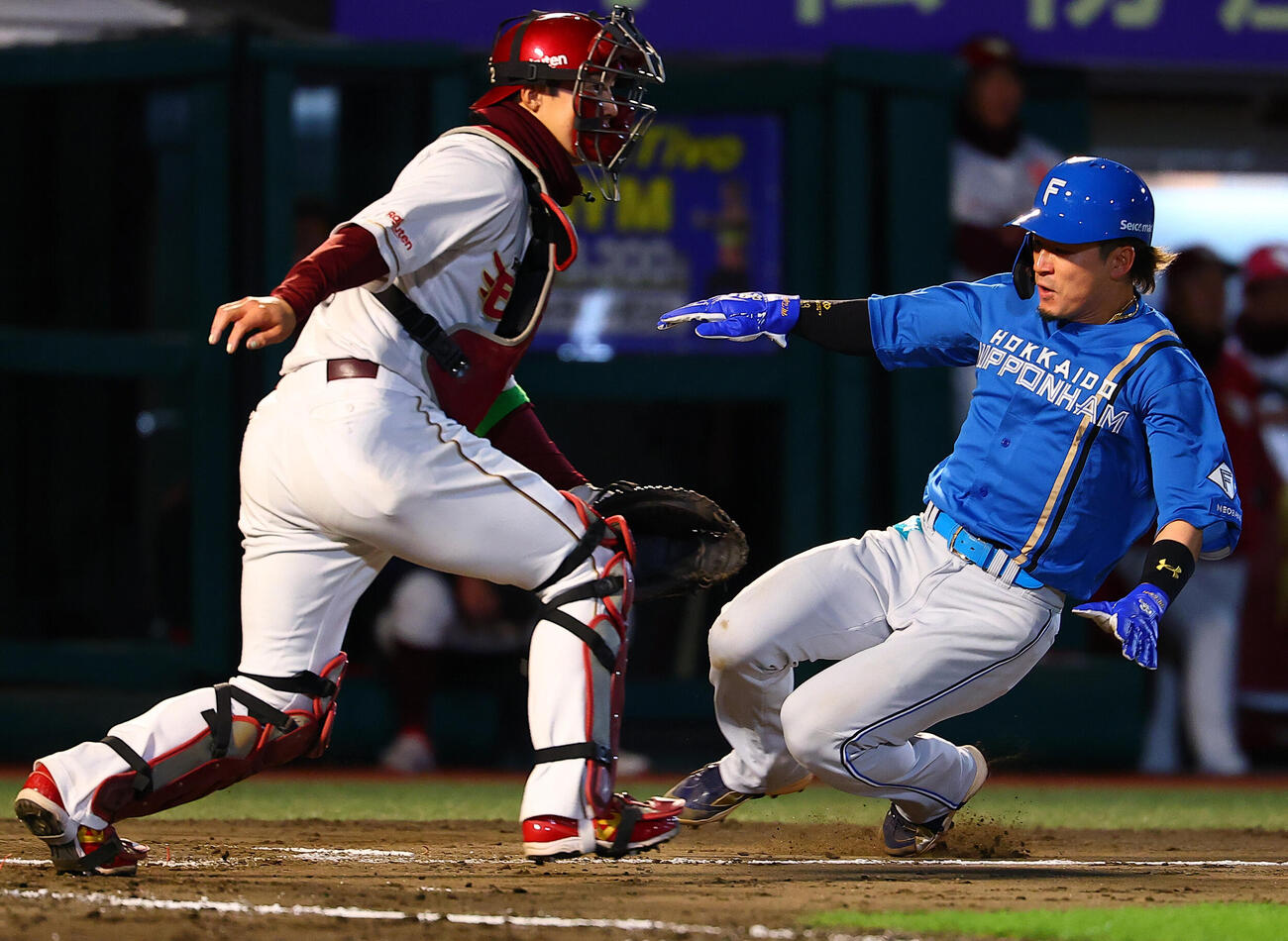 楽天対日本ハム　7回表日本ハム1死三塁、ロドルフォ・カストロの先制中犠飛で生還する水野達稀（撮影・野上伸悟）