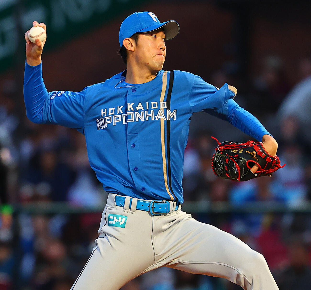 楽天対日本ハム　日本ハム先発の福島蓮（撮影・野上伸悟）
