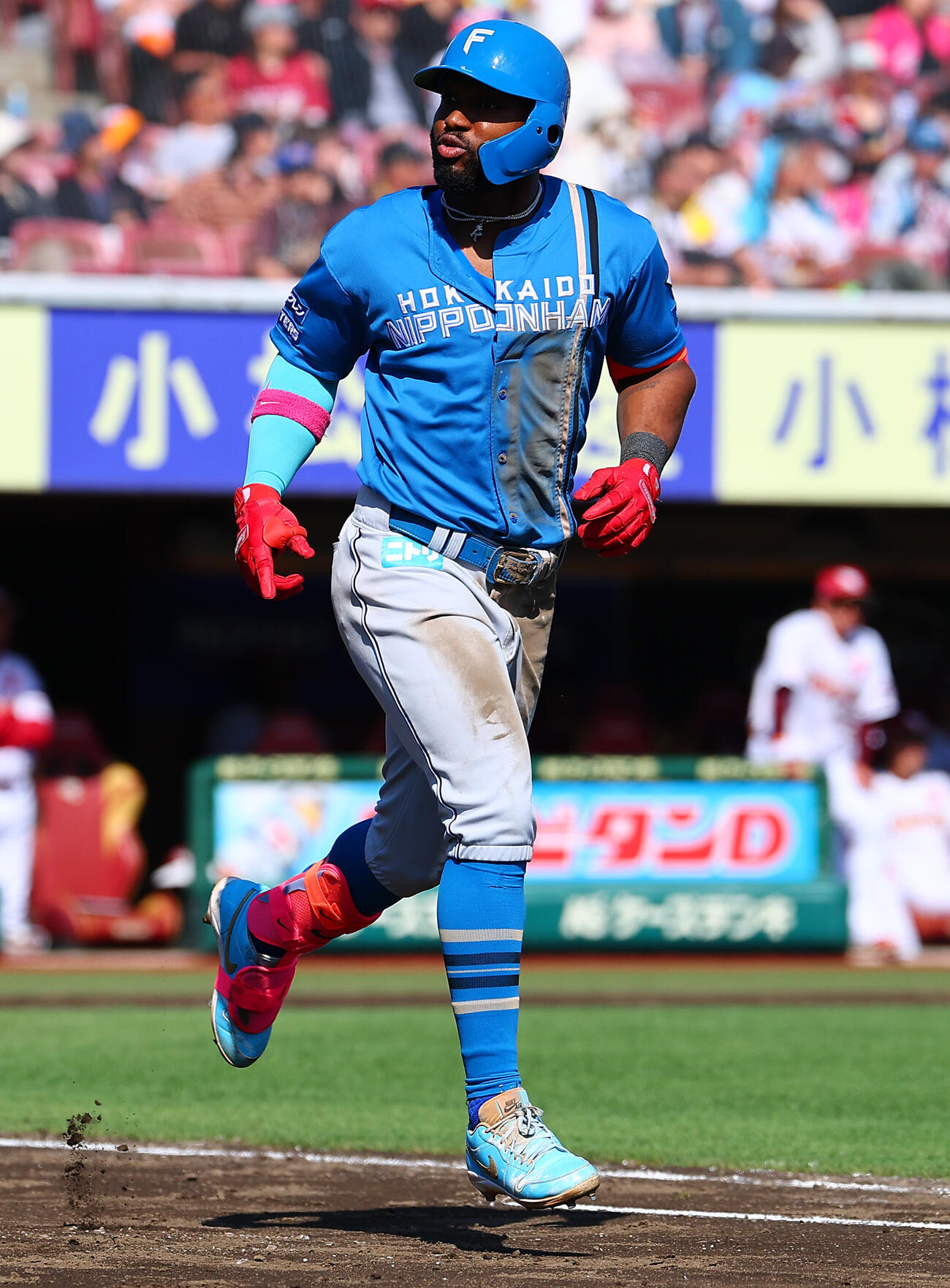 楽天対日本ハム　4回表日本ハム無死、先制本塁打を放ちベンチを見るロドルフォ・カストロ（撮影・野上伸悟）