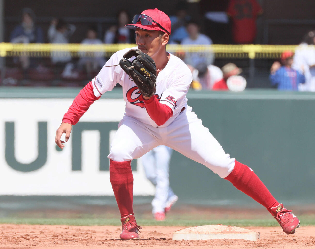 広島矢野雅哉（2026年4月撮影）