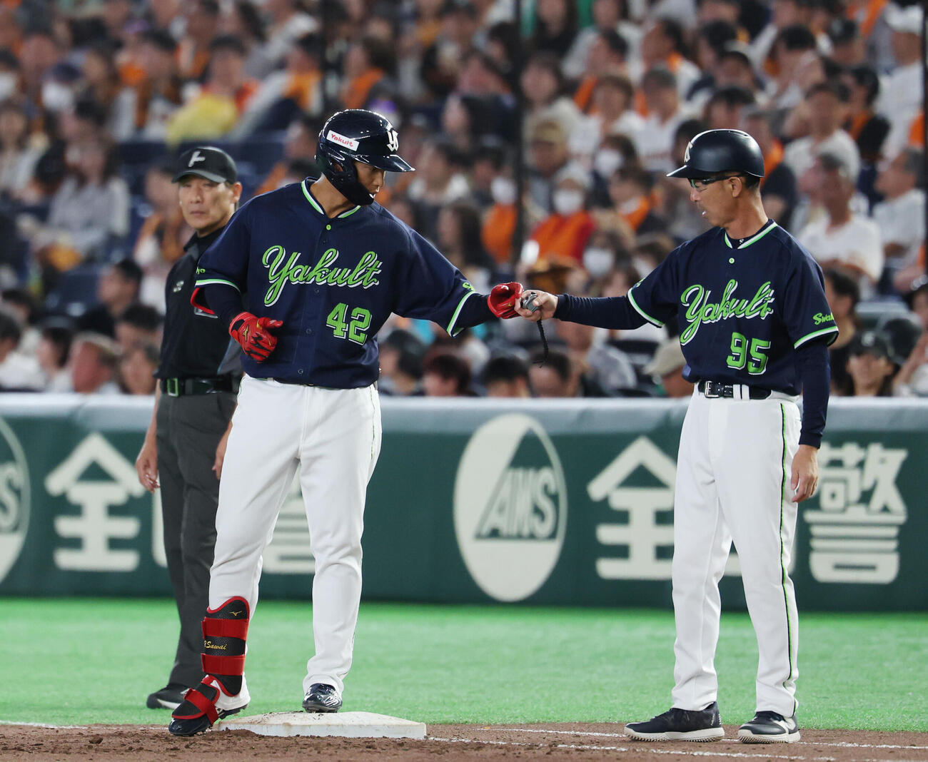 巨人対ヤクルト　6回表ヤクルト2死一塁、安打を放ちタッチを交わす沢井廉（撮影・増田悦実）