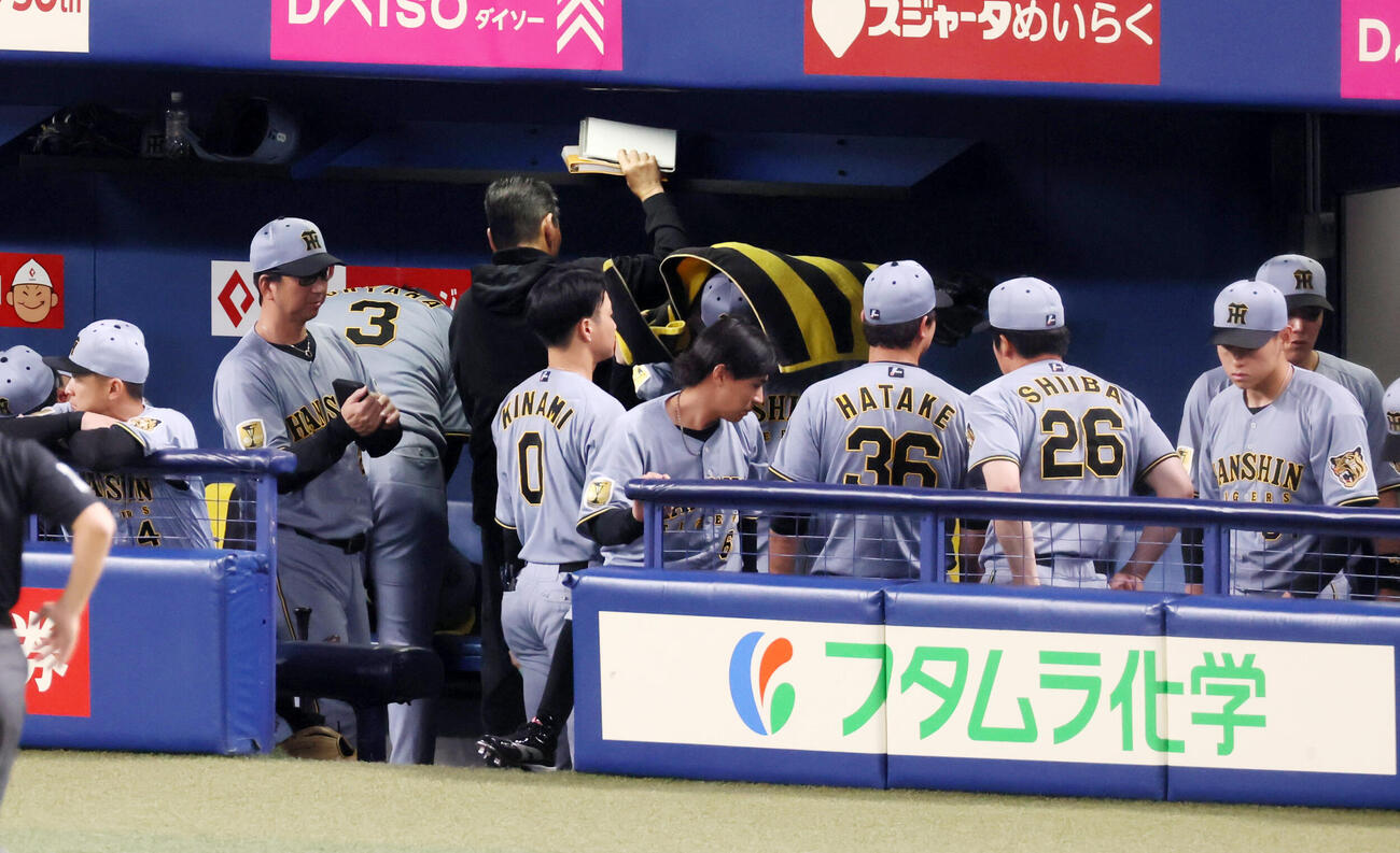 中日対阪神　中日に連敗しベンチから引き揚げる阪神藤川球児監督（撮影・加藤哉）