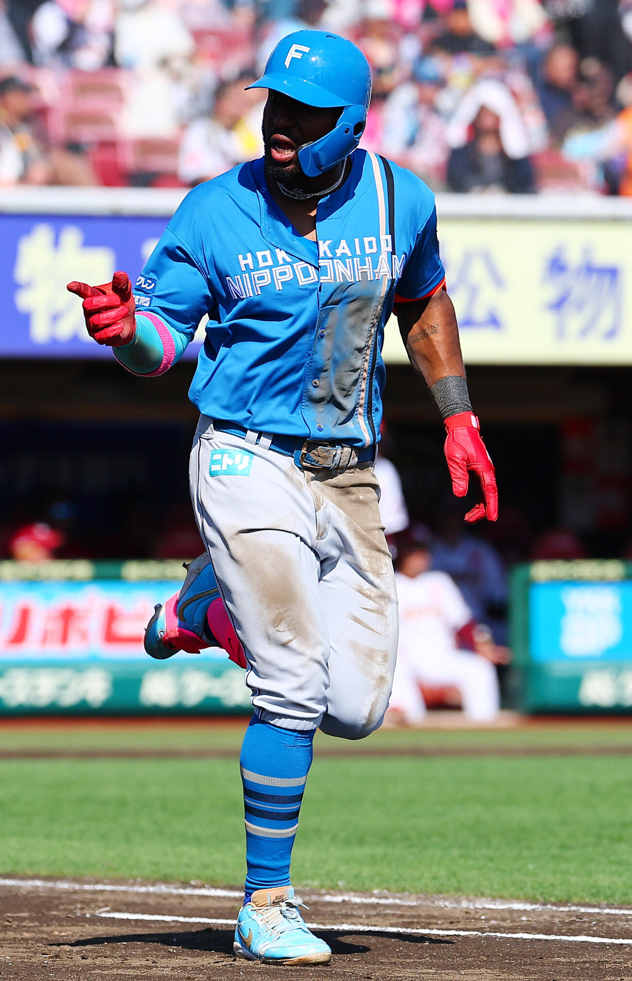 楽天対日本ハム　4回表日本ハム無死、先制本塁打を放ちベンチを見るロドルフォ・カストロ（撮影・野上伸悟）
