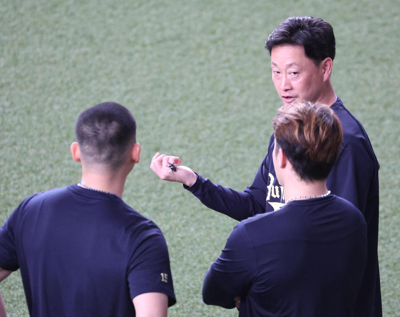 オリックス対ロッテ　試合前の練習でオリックス岸田護監督は外野でニジイロクワガタを採集（撮影・西尾就之）