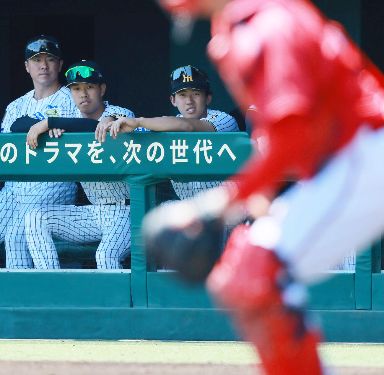 ウエスタン・リーグ阪神対広島　ベンチから試合を見つめる阪神立石正広（右）。左から長坂拳弥、岡城快生（撮影・上山淳一）