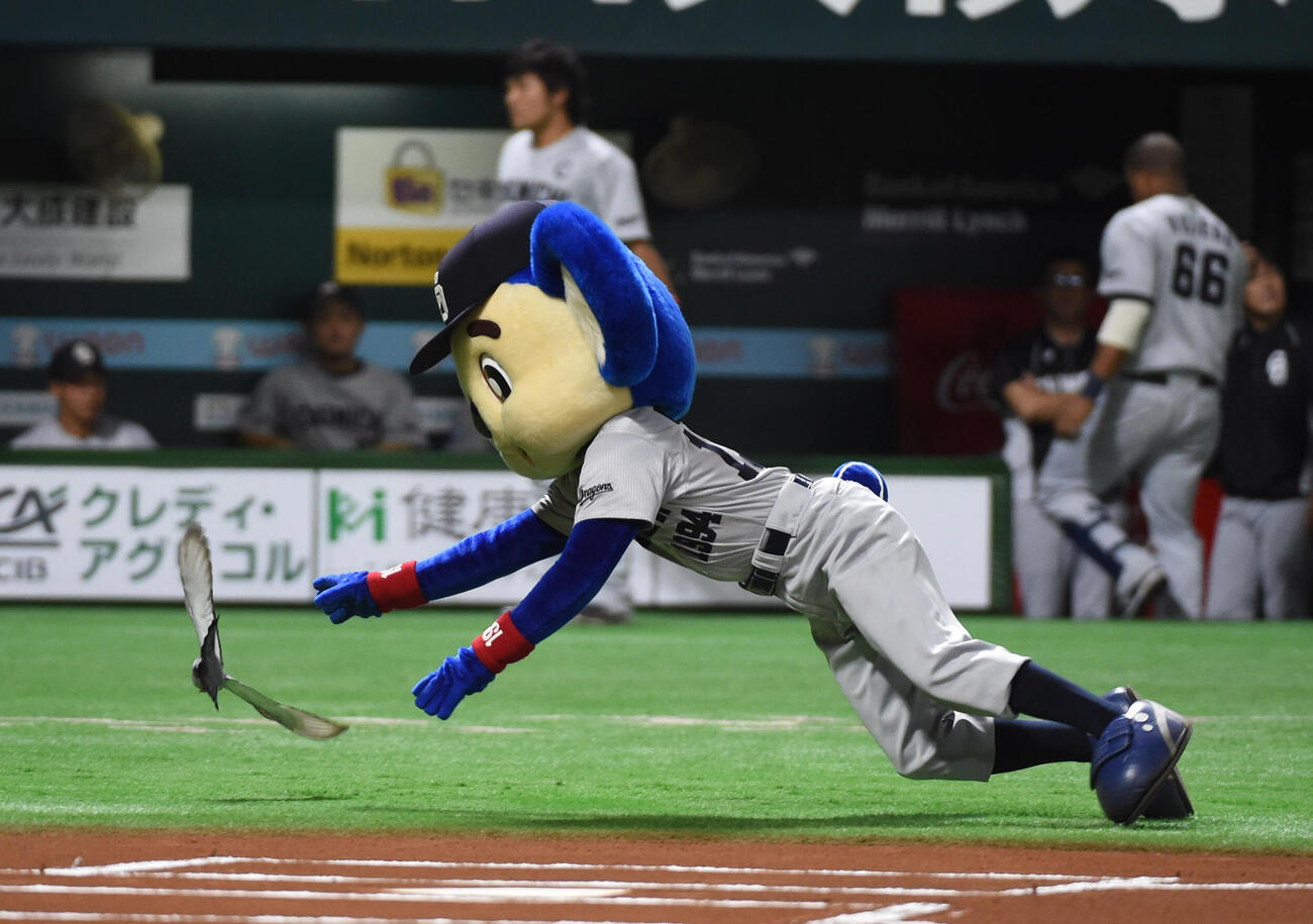 ソフトバンク対中日　試合前、グラウンドに舞い降りたハトを捕まえようと飛びつくドアラ（2016年6月1日撮影）