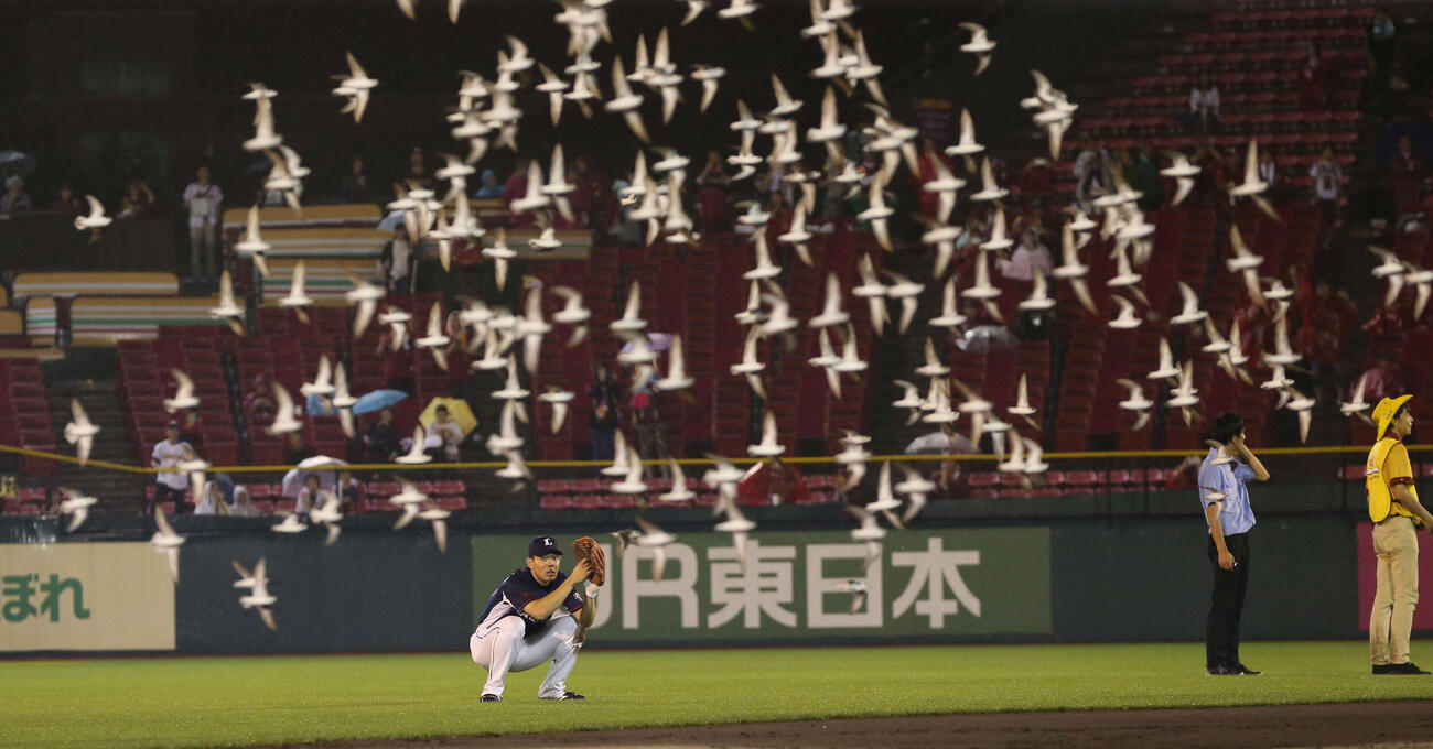楽天対西武　8回裏を前に鳥の大群が飛来しうずくまる西武秋山（2017年8月30日撮影）