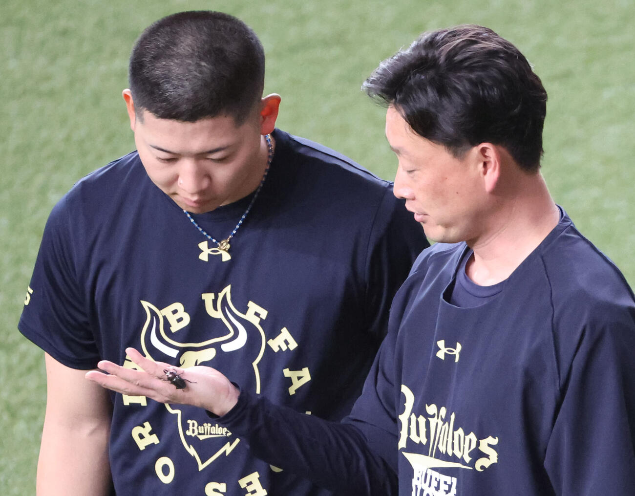 オリックス対ロッテ　試合前の練習でオリックス岸田護監督は外野でニジイロクワガタを採集。左は見入る椋木蓮（撮影・西尾就之）