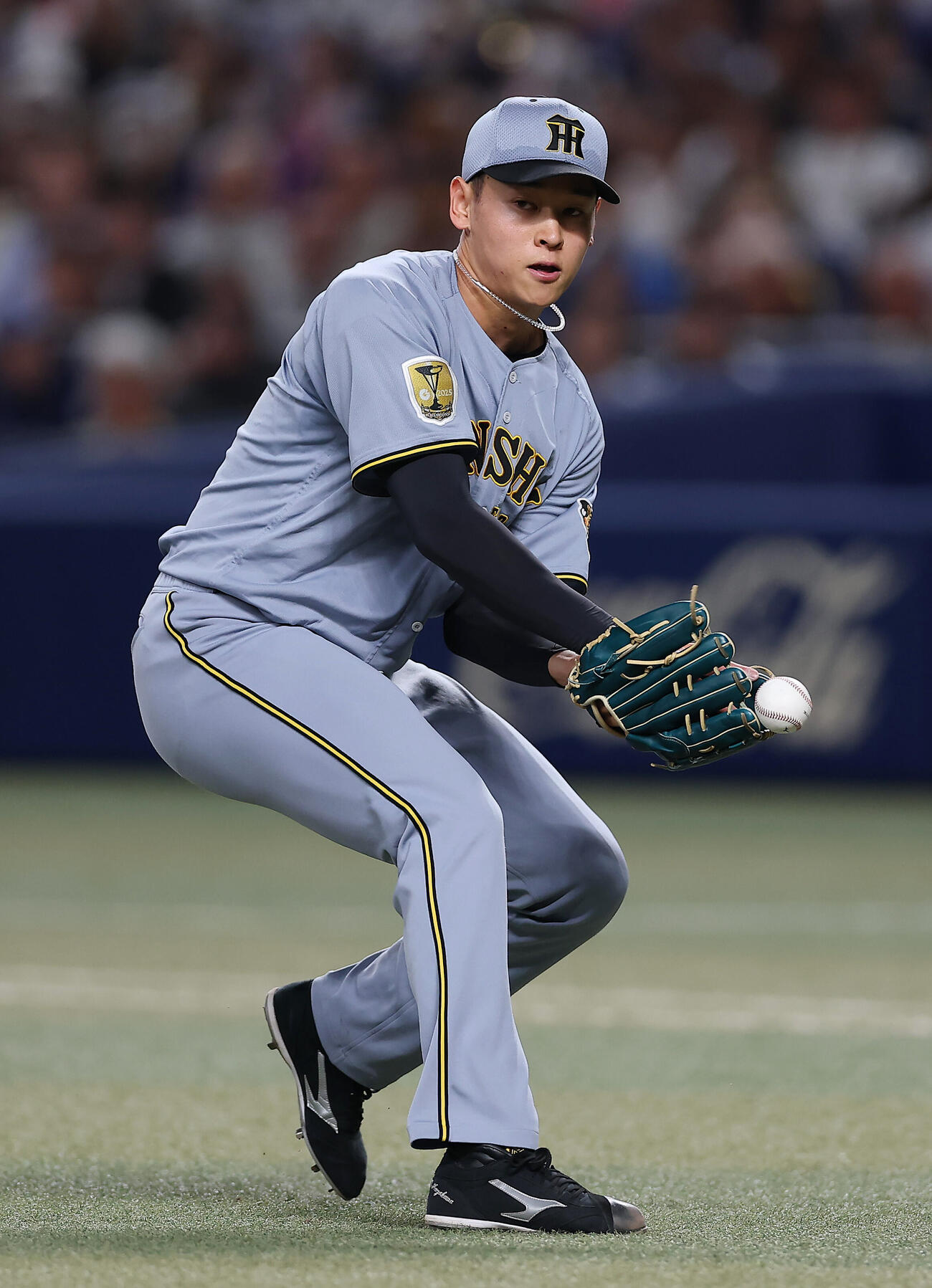 阪神早川太貴（2026年5月5日撮影）