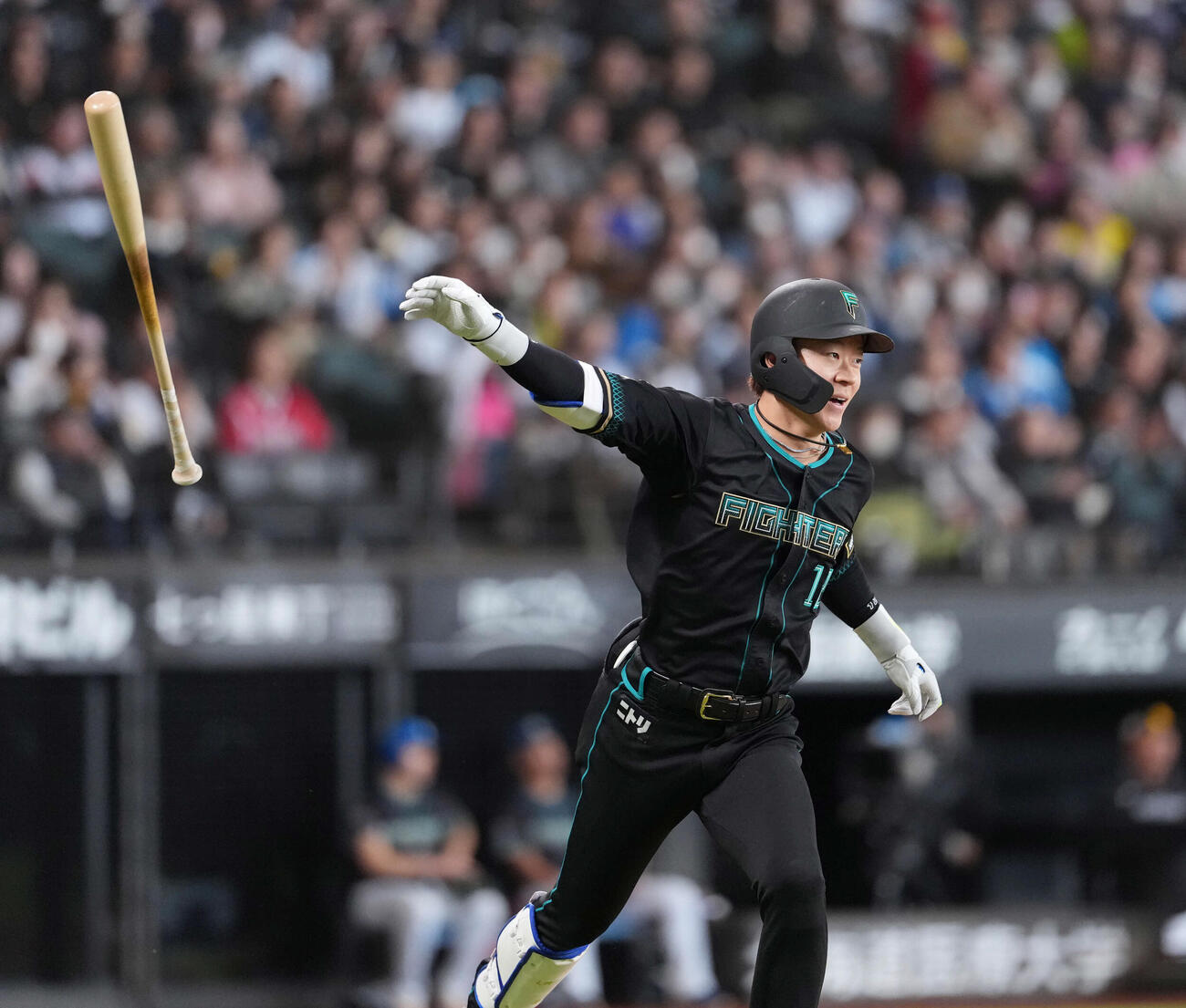 日本ハム矢沢宏太（2026年4月撮影）