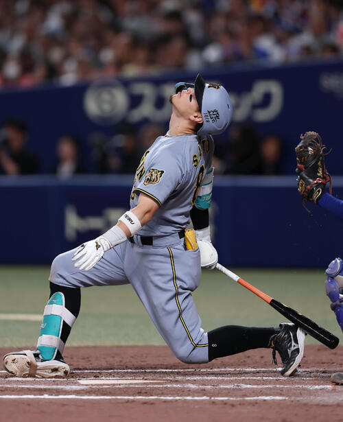 スポーツ 8/14阪神対中日お盆休みの日曜日！中央横三塁側スペシャルAシート