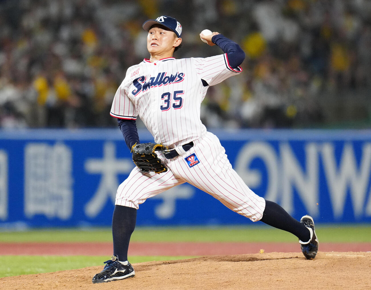ヤクルト石原勇輝（2025年8月）