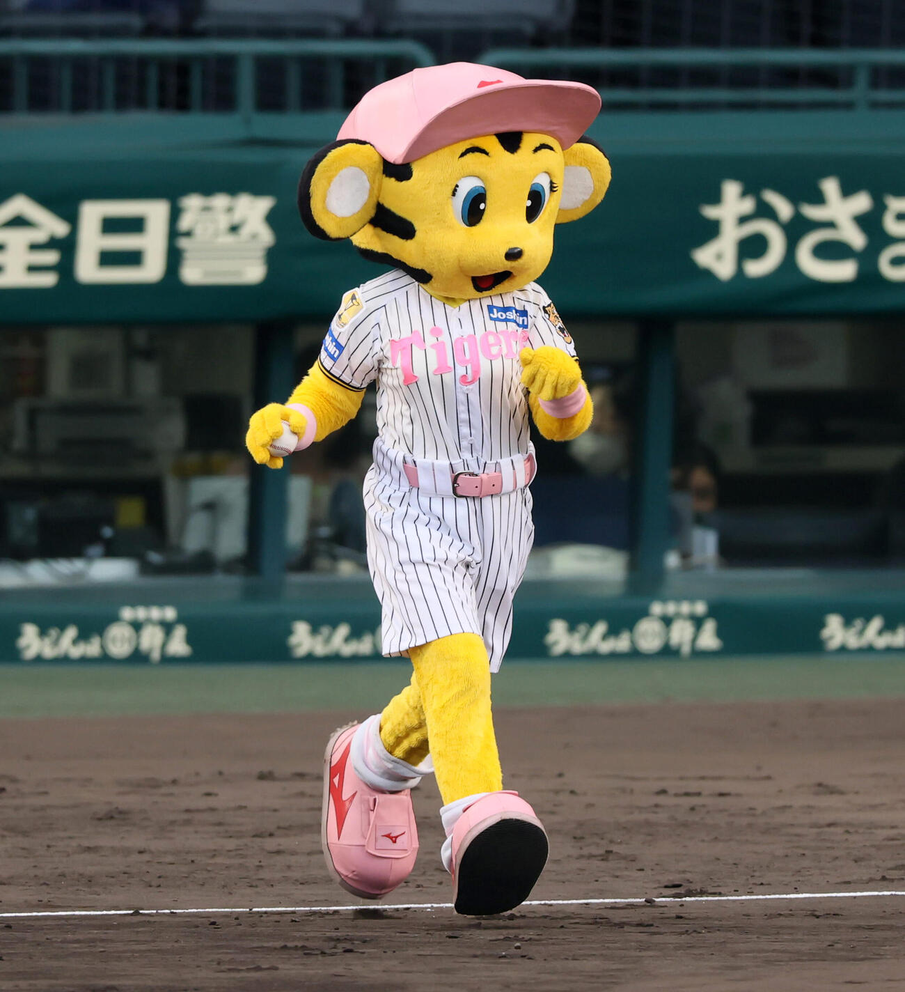 阪神対DeNA　ファーストピッチセレモニーに登板した女の子のもとにボールを運ぶラッキー（撮影・加藤哉）