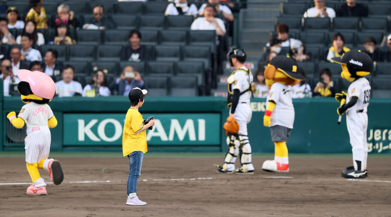 阪神対DeNA　ファーストピッチセレモニーに登板した女の子だが、ボールが無い…（撮影・加藤哉）