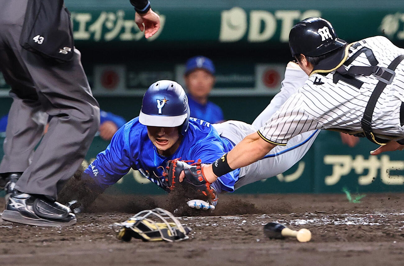 阪神対DeNA 4回表DeNA2死一、二塁、山本祐大は京田陽太の安打と福島圭音のファンブルで一塁から生還する（撮影・上田博志）