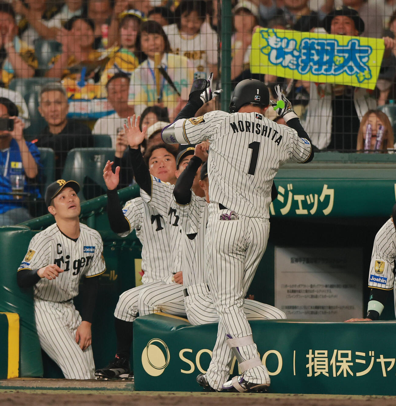 阪神対DeNA 6回裏阪神無死、森下翔太（手前）はソロ本塁打を放ち祝福を受ける（撮影・上山淳一）