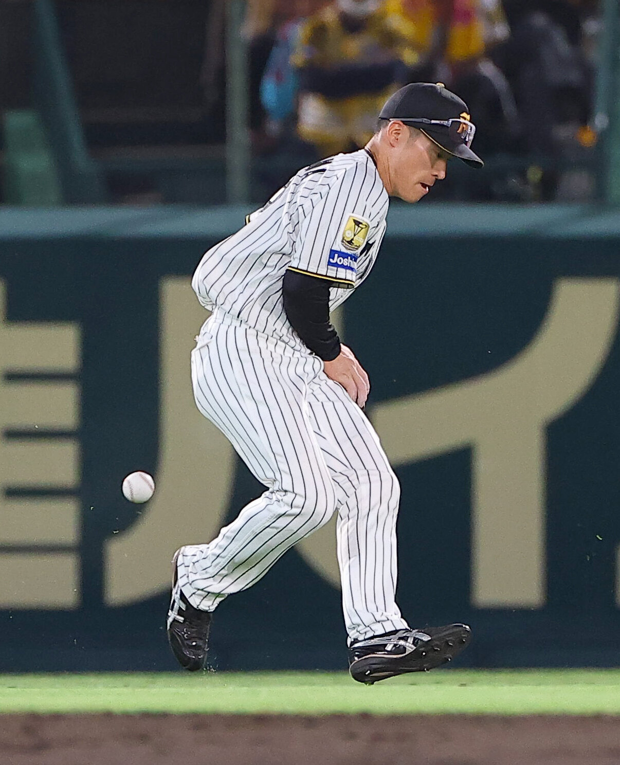 阪神対DeNA 4回表DeNA2死一、二塁、福島圭音は京田陽太の打球をファンブルする（撮影・上田博志）