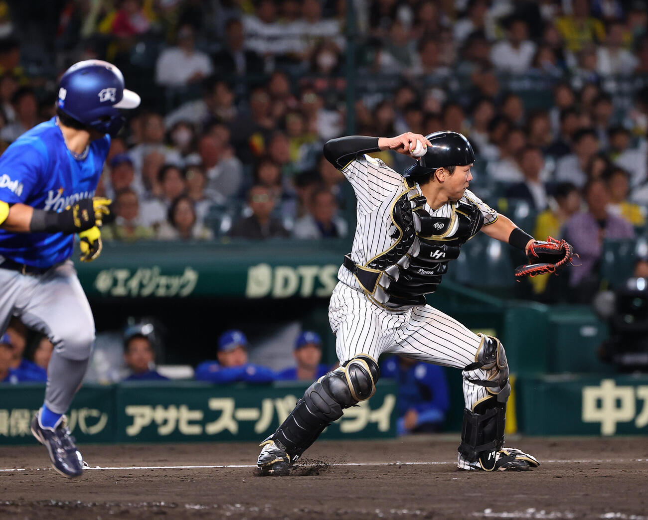 阪神対DeNA 9回表DeNA無死一、二塁、伏見寅威の三塁への送球は野選となる（撮影・上田博志）
